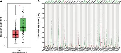 CircITGA7 Suppresses Gastric Cancer Progression Through miR-1471/MTDH Axis